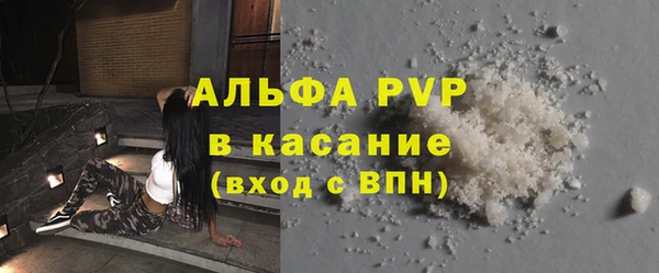 ECSTASY Лагань