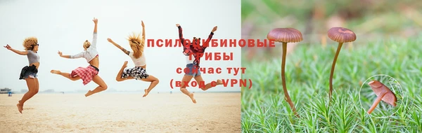 МДМА Лабытнанги