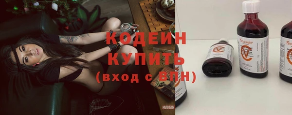 ECSTASY Лагань