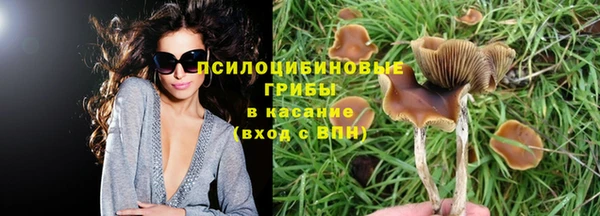 МДМА Лабытнанги