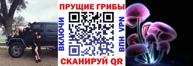 Псилоцибиновые грибы Psilocybine cubensis  мориарти телеграм  Приморско-Ахтарск 